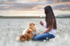 Mensch Hund Fotografie