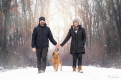 Mensch Hund Fotografie