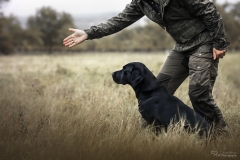 Mensch Hund Fotografie