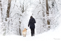 Mensch Hund Fotografie