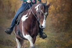 Mensch Pferd Fotografie