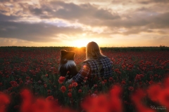 Mensch Hund Fotografie