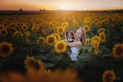 Mensch Hund Fotografie
