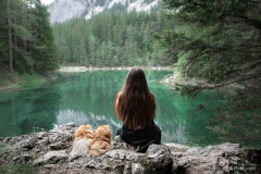 Mensch Hund Fotografie