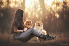 Mensch Hund Fotografie