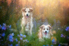 Ella und Lotti