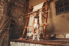 Leonard01_web