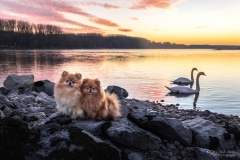 SunnyAngel01_web