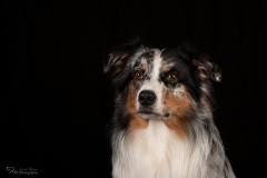 HB Photography