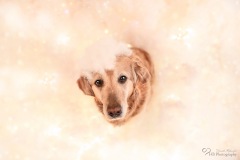 Wolkenshooting