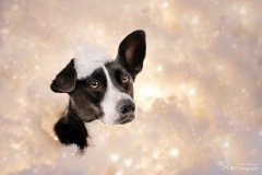 Wolkenshooting